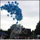 Netting helium balloon release